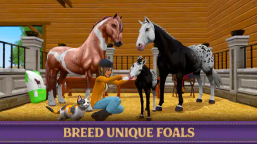 Star Equestrian – Pferderanch screenshot