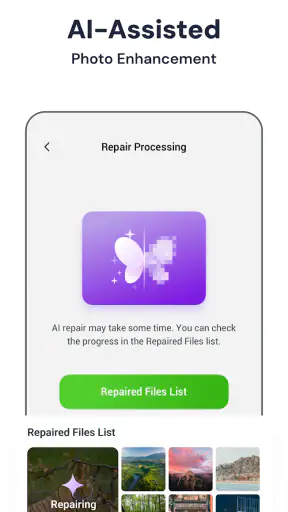 StellarRecovery screenshot