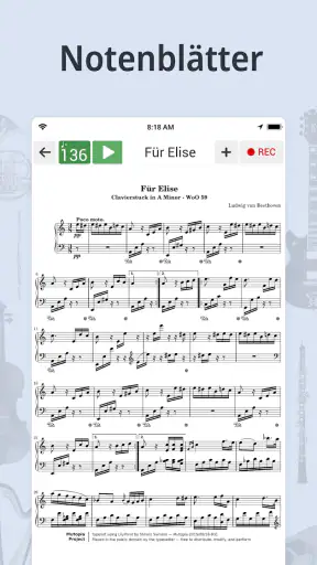 Stimmgerät & Metronom screenshot
