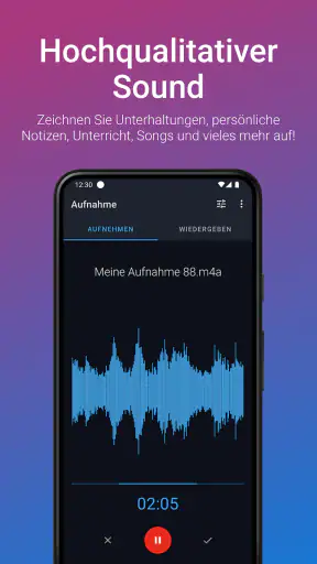 Stimmrekorder Plus screenshot