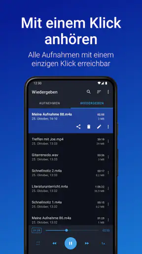 Stimmrekorder Plus screenshot