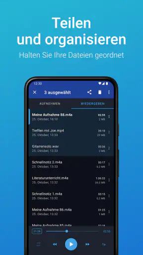 Stimmrekorder Plus screenshot