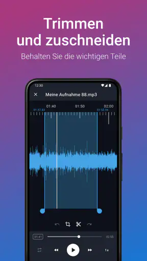 Stimmrekorder Plus Profi screenshot