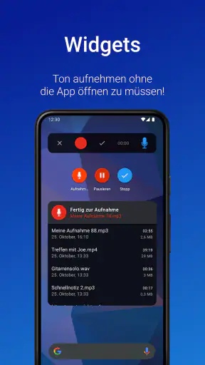 Stimmrekorder Plus Profi screenshot