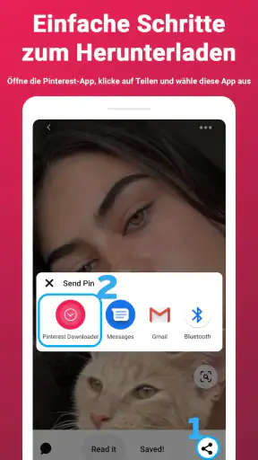 Video-Downloader für Pinterest screenshot