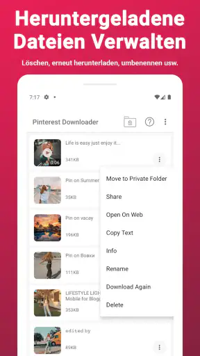 Video-Downloader für Pinterest screenshot