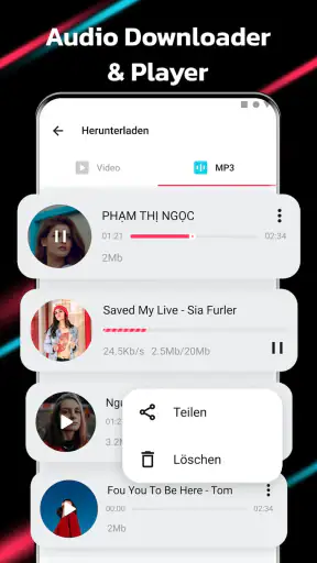Video Downloader für TT screenshot