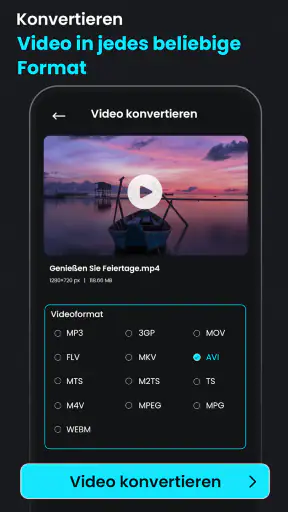 Video Komprimieren: AVI to MP4 screenshot