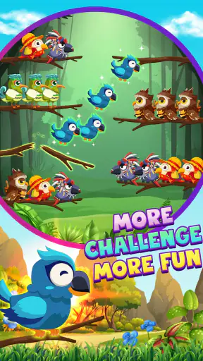 Vogel Sortieren 2: Farbpuzzle screenshot