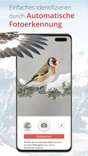 Vogelführer Birdlife Schweiz screenshot