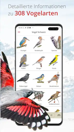 Vogelführer Birdlife Schweiz screenshot