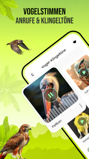 Vogelstimmen screenshot