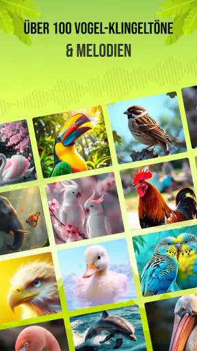 Vogelstimmen screenshot