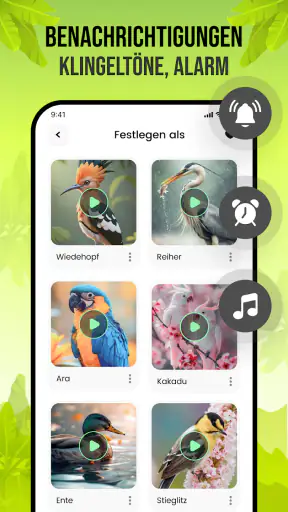 Vogelstimmen screenshot
