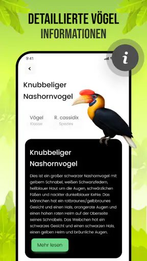 Vogelstimmen screenshot