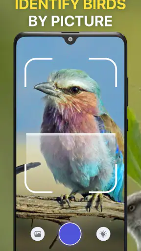 Vogelstimmen Erkennungs App screenshot