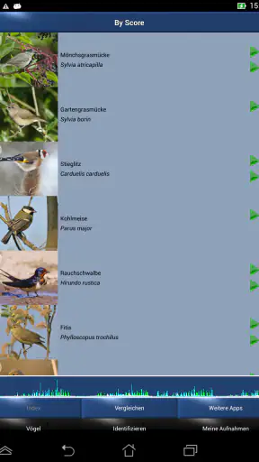 Vogelstimmen Id - Ruf + Gesang screenshot