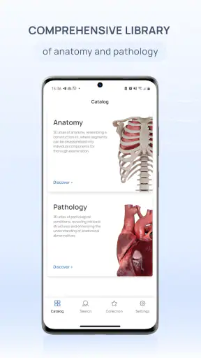 VOKA Anatomy Pro screenshot