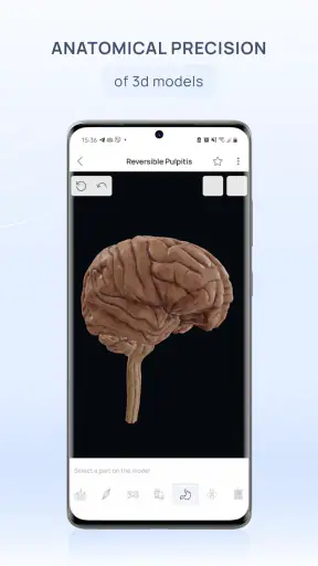 VOKA Anatomy Pro screenshot