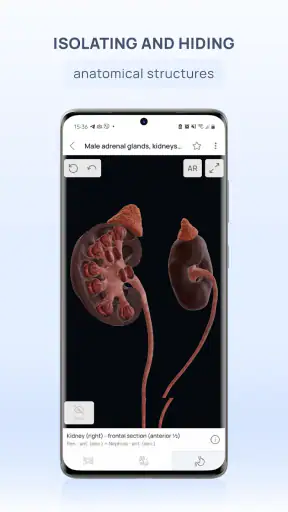 VOKA Anatomy Pro screenshot