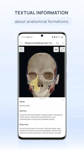 VOKA Anatomy Pro screenshot
