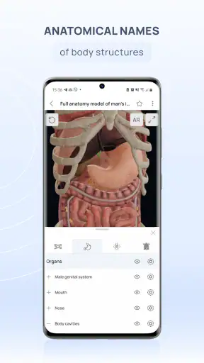 VOKA Anatomy Pro screenshot