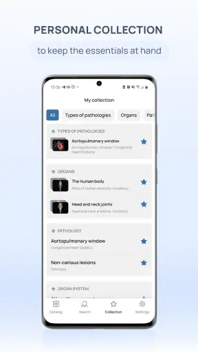 VOKA Anatomy Pro screenshot