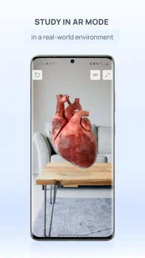 VOKA Anatomy Pro screenshot