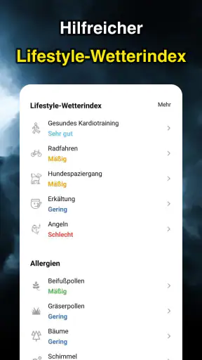 Wetteransicht screenshot