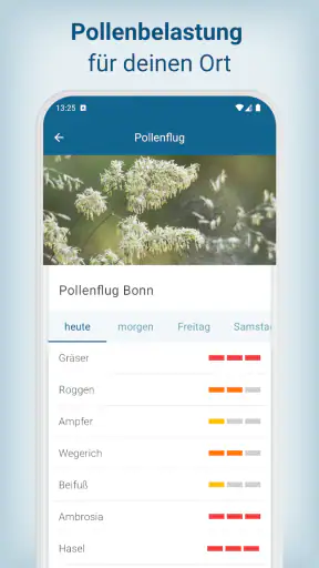 WetterOnline Pro screenshot