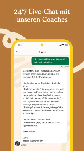 Zigzag: Welpentraining screenshot