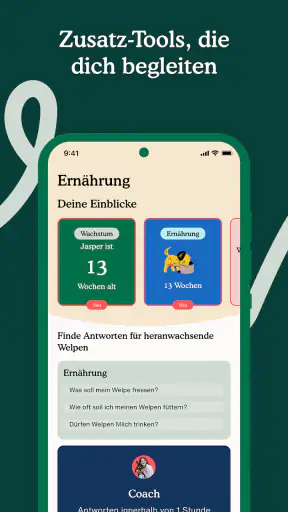 Zigzag: Welpentraining screenshot