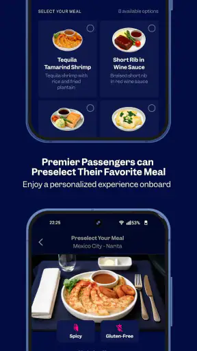 Aeromexico screenshot