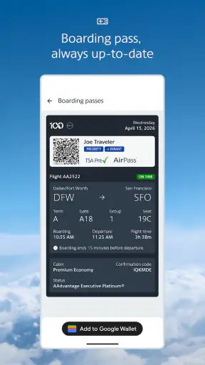 American Airlines screenshot