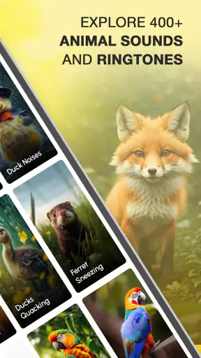 Animal Sounds and Ringtones screenshot