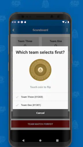 APA Scorekeeper screenshot