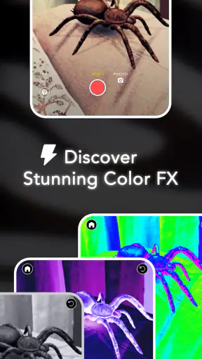 AR Spiders & Co: Scare friends screenshot