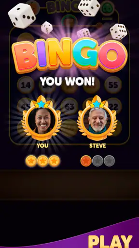 Bingo Dice screenshot