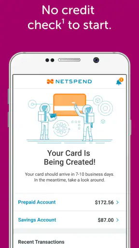 Classic Netspend screenshot