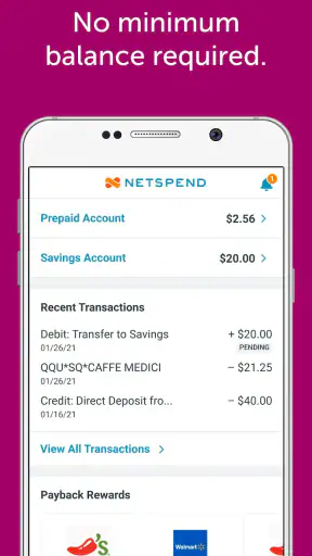 Classic Netspend screenshot