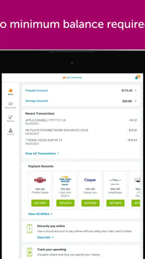 Classic Netspend screenshot