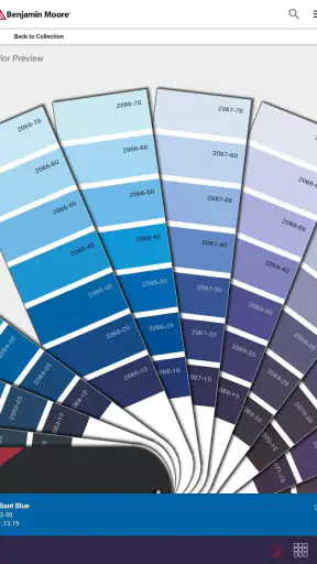 Color Portfolio screenshot