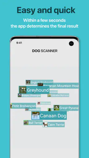 Dog Scanner: Breed Recognition screenshot