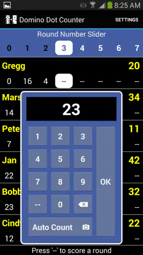 Domino Dot Counter screenshot