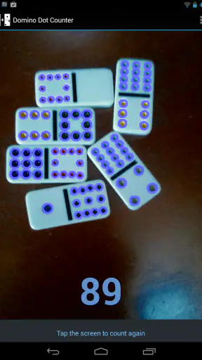 Domino Dot Counter screenshot