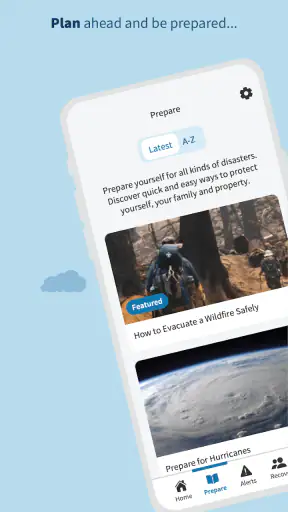 FEMA screenshot