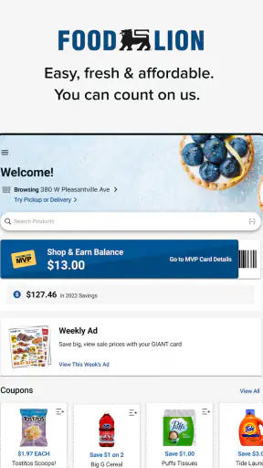 Food Lion screenshot