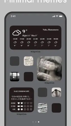 Icon changer & Widget Themes screenshot
