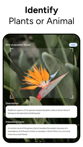 Lens AI & Reverse Image Search screenshot