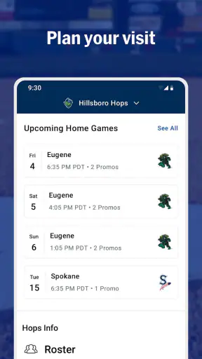 MiLB screenshot